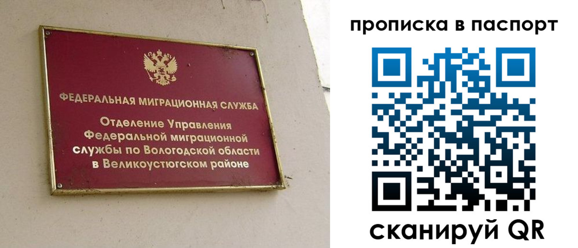 где прописаться в Звенигово